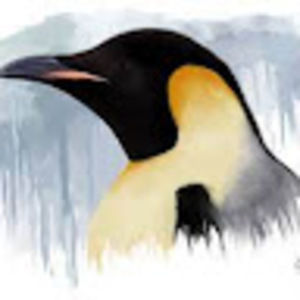 Meet your Posher, Mason